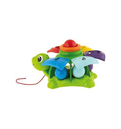 TURTLE SORT&SURPRISE 24
