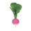 RAMONA THE RADISH 22