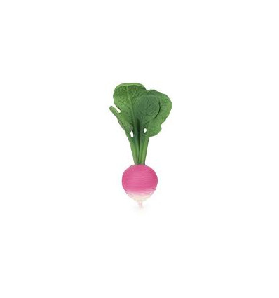 RAMONA THE RADISH 22