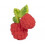 VALERY THE RASPBERRY 22