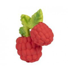 VALERY THE RASPBERRY 22