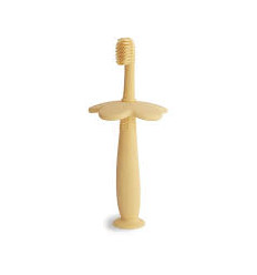 TOOTHBRUSH FLOWER PALE DAFFODIL 24