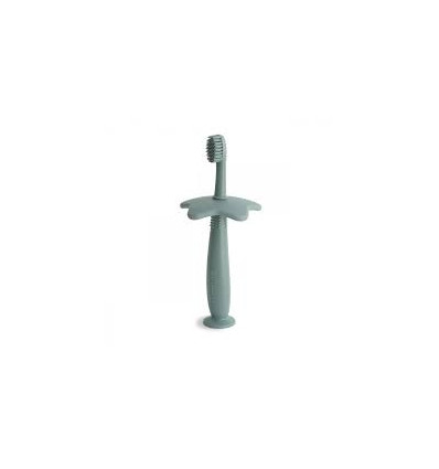 TOOTHBRUSH STAR CAMBRIDGE BLUE 24