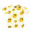 SUNNY GLASSES T-SHIRT KIDS 104