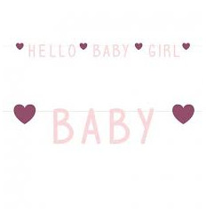 LETTERSLINGER HELLO BABY GIRL HEARTS 22