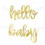 LETTERSLINGER HELLO BABY GOLD 22