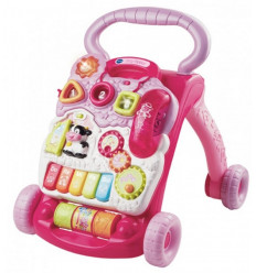 BABY WALKER ROZE 6-36M 20