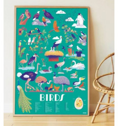 POSTER/ STICKERS BIRDS 22