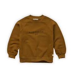 GRAND SWTSHIRT EINSTEIN JR TOFFEE 6Y 22