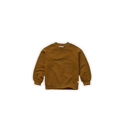 GRAND SWTSHIRT EINSTEIN JR TOFFEE 6Y 22