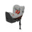 SIRONA Z LINE ZOMERHOES GREY/GREY 22