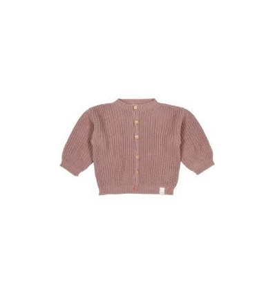 VESTJE DINAN MAUVE 74/80 23