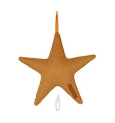 MUSIC BOX STAR RIBBLE OCHRE 221