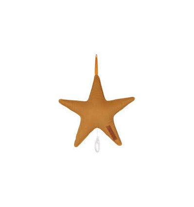 MUSIC BOX STAR RIBBLE OCHRE 221