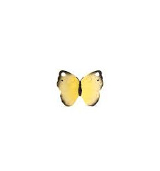 TEETHER BUTTERFLY 25
