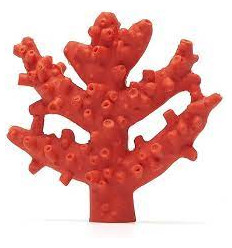 TEETHER BLISS CORAL 232
