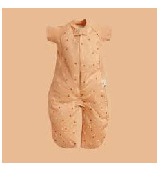 SLEEPSUIT BAG HONEY BEE 1.0 TOG 2-4Y 231