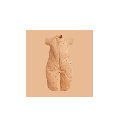 SLEEPSUIT BAG HONEY BEE 1.0 TOG 2-4Y 231