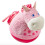 DUIKELAARTJE PAARD 5