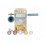 LITTLE DUTCH CAFETIERE EN BOIS FSC 241