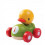 RACER CANARD 12M+ 21
