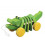 DANCING ALLIGATOR 12M+ 21