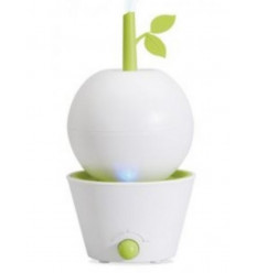 LANAFORM POMMY 6 LANAFORM POMMY 6
