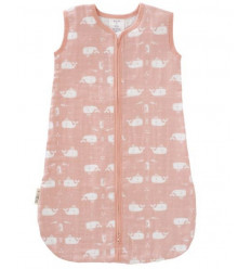 WHALE WIT SIZE 6-12M 20