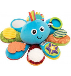 PIEUVRE MULTI ACTIVITES 21