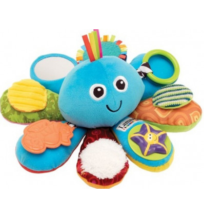 PIEUVRE MULTI ACTIVITES 21