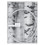 STEELY DAN 150 CM WHITE PHOTO CORD WITH