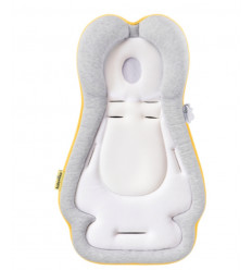 COSYMORPHO FRESH SMOKEY REDUCTEUR 231