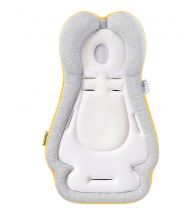 COSYMORPHO FRESH SMOKEY REDUCTEUR 231