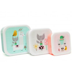 DIVERSEN PETIT MONKEY