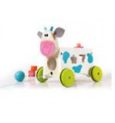 ACTIVITY WAGON KOE MARIE 8