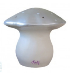 PADDESTOEL STAANLAMP GM ZILVER 1