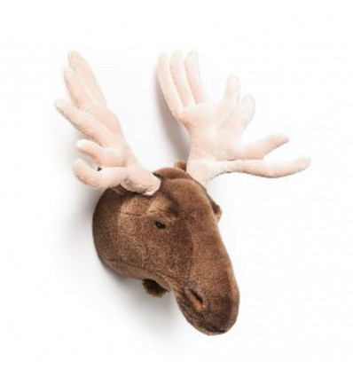KOP ELAND ALFRED 211