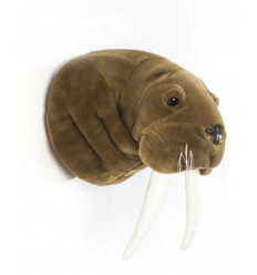TROPHY WALRUS JACOB 7