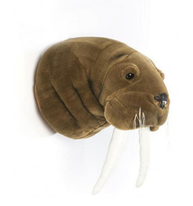 TROPHY WALRUS JACOB 7