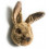 TROPHY LIEVRE BRUN LEWIS 9