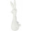 RATTLE RABBIT CUI CUI 94