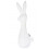 RATTLE RABBIT GOLD BLOSSOM 21