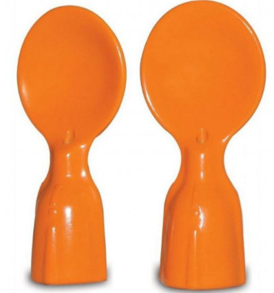 COUPLE A SPOONS 21